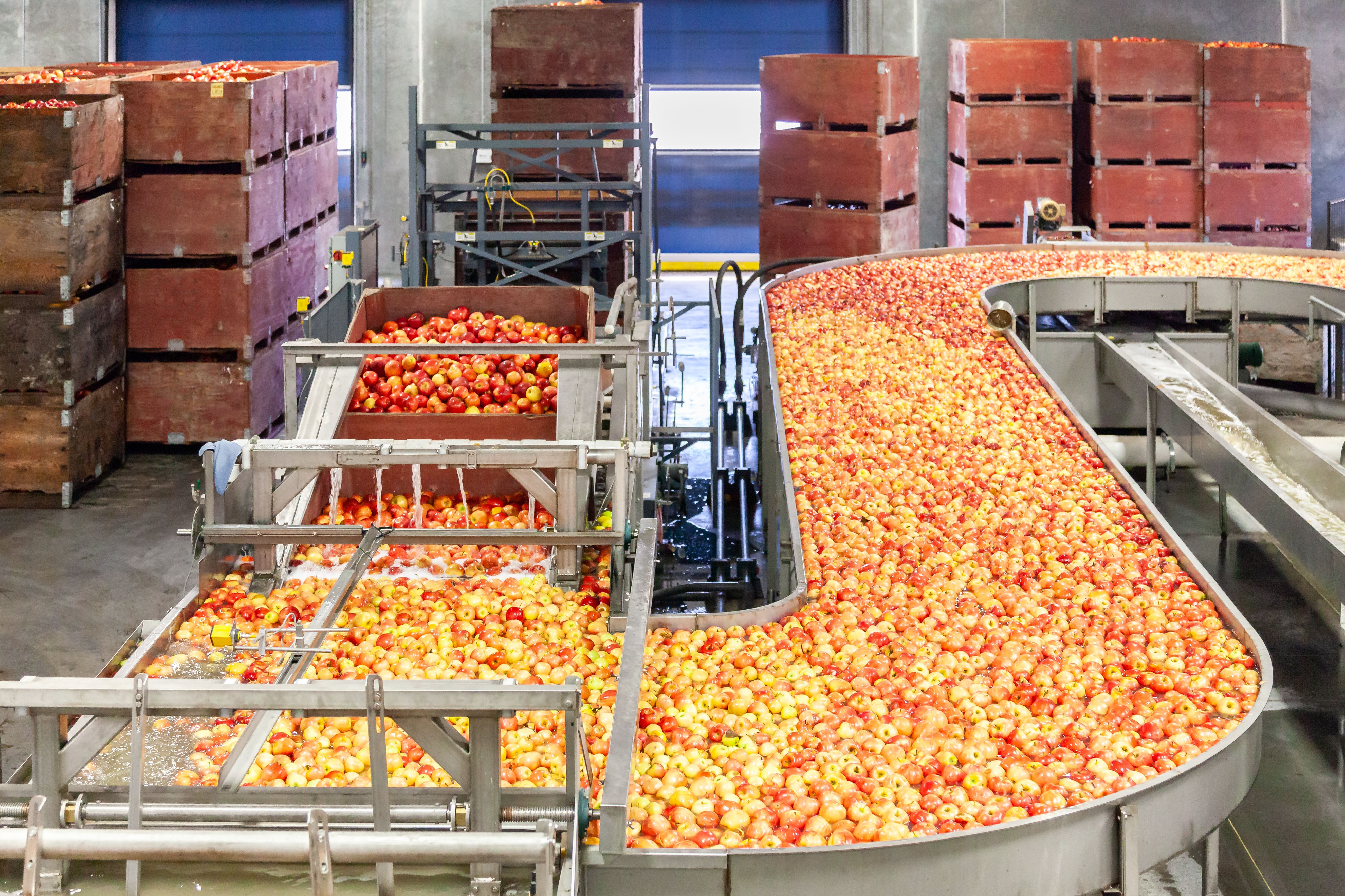Produce Packaging